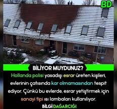 Bal Kopugu Sozler Adli Kullanicinin Farkli Bilgiler Panosundaki Pin Biliyor Muydunuz Bilgi Alintilari Catilar