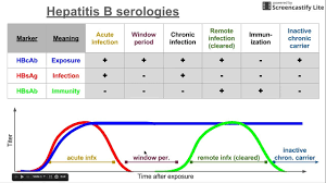 Hepatitis B Serologies