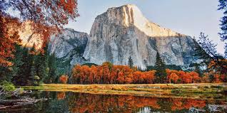 Image result for mt. Shasta in fall colors