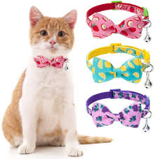 Breakaway Bow Tie Cat Collar With Bell 3 Pack Adjustable Safety Cute Kitty Collars With Detachable In 2020 Cat Bowtie Collar Cat Collars Cute Cats