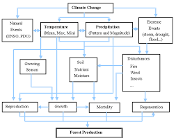 Flow Chart Of Climate Change Impacts On Forest Ecosystem