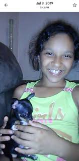 Lost Dog in Clarion Area