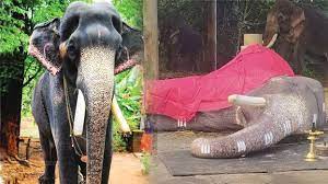 You can also upload karnan movie photos at *disclaimer: Mangalamkunnu Karnan Dies At 60 Kerala General Kerala Kaumudi Online