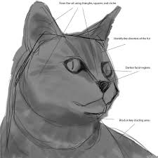 Cat gesture sketches stock vector. How To Draw Cats In 4 Steps With Photoshop