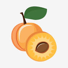 Pin On Vector Store