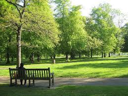 Hyde Park London London Vacation London Park Hyde Park London