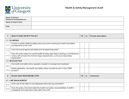 Health &Amp; Safety Management Audit 1
