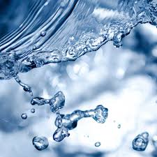 Manufacturer, trading company, buying office, agent, distributor/wholesaler, government ministry/bureau/commission, association, business. Performance Report