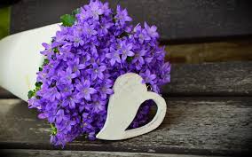 Purple leafed tree illustration, photo of purple flowering tree. Purple Flowers Wallpaper Nature And Landscape Wallpaper Better