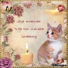 Guten morgen schönen sonntag nachmittags. Ich Wunsche Jedem Von Euch Einen Schonen Sonntag Animated Picture Codes And Downloads 135714737 839485387 Blingee Com