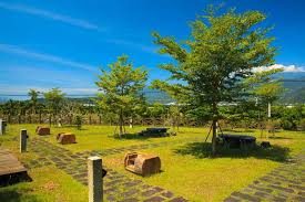 文旦柚香正濃果園農閒情 台灣行 提供各國來台自助旅遊 吃丶喝丶玩丶樂 最佳攻略 taiwan travel travel guide travel