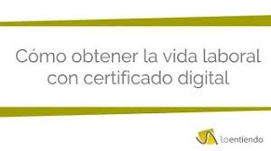 2 posibles problemas para obtener la vida laboral con certificado digital. Como Obtener La Vida Laboral Con Certificado Digital Rapidamente Youtube