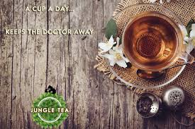 Image result for Fadogia ancylantha