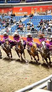 Image result for tbn:tVj6rqcH-AQR9M::www.pregonagropecuario.com.ar/images/caballo_overo.jpg