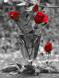 Black And White Art With Red Accents Pin By Asmara A On Fvrt Color Splash Photo Color Splash Good Morning Flowers Gif