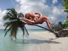 Tree Octopus Real Or Just A Hoax Here S The Truth Stillunfold