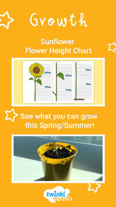 Use This Lovely Sunflower Growth Chart To Track The Growth
