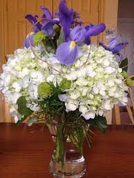 Read online books for free new release and bestseller Beautiful Flowers From Morrison S Flowers Amp Gifts In Williamsburg Va Blumen