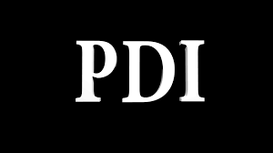 Order voter data you need in four easy steps. Pdi Logos