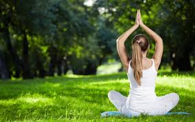 Check spelling or type a new query. Home Yoga Edge