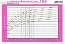 Jika pola yang terbentuk sama atau kurang lebih sejajar dengan median pada grafik, maka perkembangan otak anak termasuk normal. Normalkah Ukuran Lingkar Kepala Bayi Anda Simak Di Sini