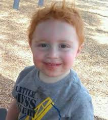 Mrs. Bitner (@MrsBitnerHTSD)