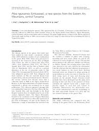 Image result for Pilea sublucens