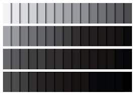 Paleta Gradiente Cinzenta 139513 Vetor No Vecteezy