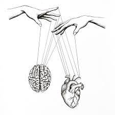 High quality biology art gifts and merchandise. Eves Heart Project Eves Art Project Instagram Photos And Videos Heart Drawing Heart Projects Biology Art