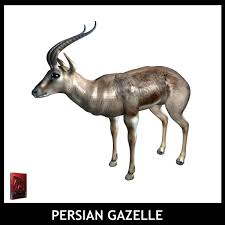 Over 7,707 gazelle pictures to choose from, with no signup needed. Maya Persian Gazelle 3d Model Gazelle 3d Model Persian