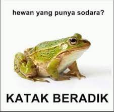 Pin Di Fun