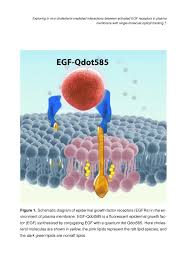 Malaysian construction research journal | read 183 articles with impact on researchgate, the professional network for scientists. Malaysian Construction Research Journal Mcrj Template Construction Research Institute Of Malaysia Cream