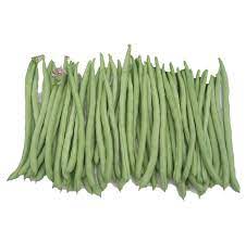 Perbedaannya terletak pada kurangnya kemampuan bersiombosis dengan bakteri penambat nitrogen bebas dari udara (rhizobium sp). Kacang Buncis Malaysia French Bean Seeds My Soon Huat Seeds