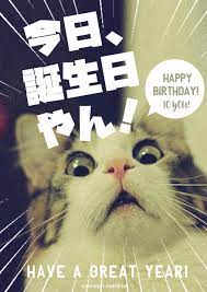 お誕生日おめでとう画像no 4 猫 誕生日 誕生日 画像 おもしろ 面白い誕生日