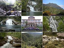 Live stream plus station schedule and song playlist. Ingressos 2021b Parque Nacional Do Itatiaia