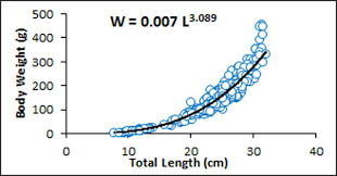 Contextual translation of berkait rapat into english. Length Weight And Length Length Relationship Of Longsnouted Catfish Plicofollis Argyropleuron Valenciennes 1840 In The Northern Part Of Peninsular Malaysia Abstract Europe Pmc