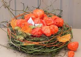 Lampionblume Physalis Von Der Herbstdeko Nicht Wegzudenken Herbst Dekoration Lampionblume Und Deko