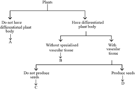 Kingdom Characteristics Chart Archaebacteria Characteristics