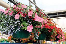 Candy store — minot, ward county, north dakota, united states, found 24 companies. Https Www Minotdailynews Com Life Business 2018 05 Green Thumb And Lowes Back With Extended Hours