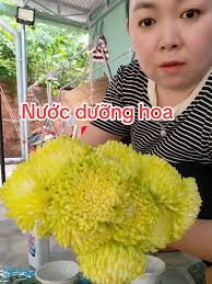 Nước dưỡng hoa siêu xịn.#diemmytani #xuhuong #thinhhanh