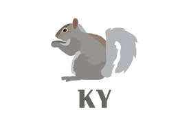 Download Gray Squirrel Ky Svg Cut File By Creative Fabrica Crafts Creative Fabrica SVG Cut Files