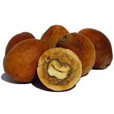 Image result for Schinziophyton rautanenii