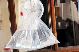 Susiej The Plastic Bag Of Water Really Does Keep Flies Away Keep Flies Away Plastic Bag Bags Of Coins