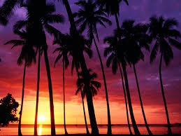 Find over 100+ of the best free beach sunset images. Sunset Beach Wallpaper Free Download