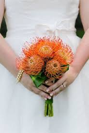 17 Best Ideas About South African Flowers On Pinterest African Orange Bridal Bouquet Protea Wedding Simple Wedding Bouquets