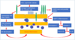 Clinical And Experimental Pediatrics