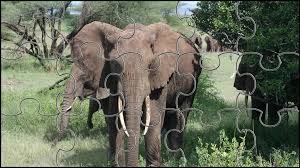 They feature fun puzzles of all types that'll keep you entertained. Africa Jigsaw Puzzles Game For Android Apk Download