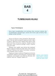Tumbuhan dengan kandungan substrat yang rendah akan melakukan respirasi dengan laju yang rendah pula. Bab 4 Tumbuhan Hijau