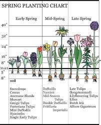 We did not find results for: Bloom Time Landscaping With Bulbs Breck S Bulbs