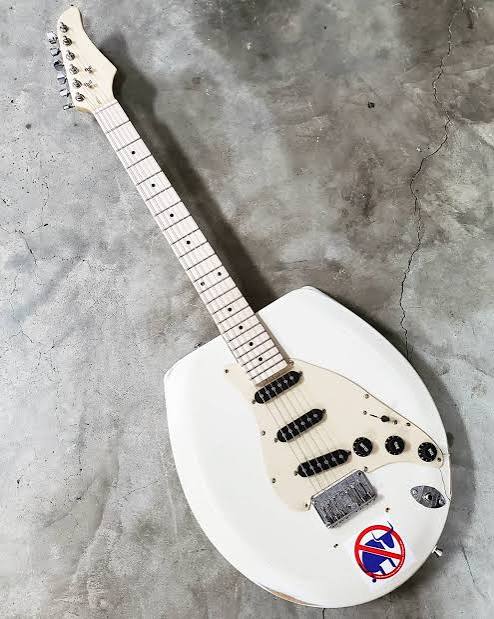 I made a guitar out of a toilet seat. I do not know why. : r/DiWHY